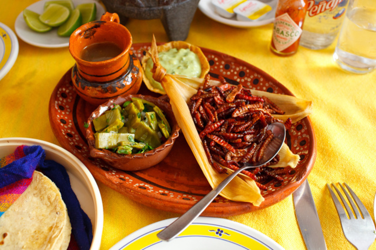 Gusanos de maguey, de la comida típica de Tlaxcala.